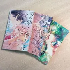 弟の顔して笑うのはもう、やめる 1〜3巻セット