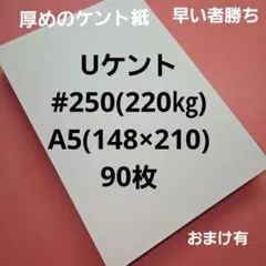 Uケント#250(220㎏)A5. 90枚、厚めのケント紙、用途は色々‼️