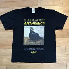 the ravens ANTHEMICS Tシャツ