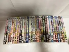 ドメスティックな彼女 全巻セット 1〜28巻 全28巻