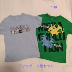 【ジャンク品】　２枚セット　ポケモン Tシャツ UT 水色＆緑