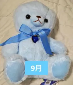 Happy Birthcolor Pastel Bear 28cm