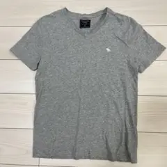 Abercrombie & Fitch グレー Vネック Tシャツ XS