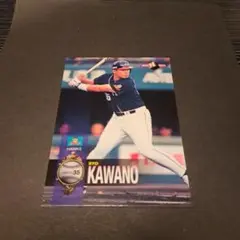 Item thumbnail for item 6d7626ef-c04f-490f-bf80-14ffa10baa55