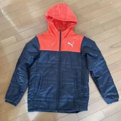 Item thumbnail for item 16b0bf19-cb19-40c8-8da7-936a51887a89