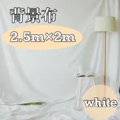 背景布 2m×2.5m 撮影用 インスタ SNS モデル インテリア 目隠し