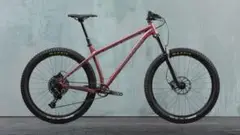 サンタクルズ カメレオン 2021 Mサイズ クランクブラザーズ