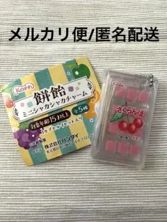 餅飴 ミニシャカシャカチャーム ガチャ さくらんぼ 匿名配送