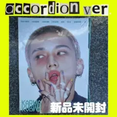 accordion 新品未開封アルバムKARMA straykids ヒョンジン