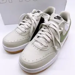 タグ箱付き新品⭐️NIKE GAMMA FORCE 24cm
