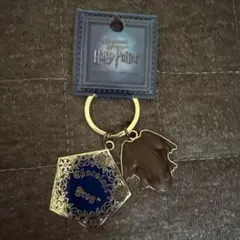 USJ ハリーポッター カエルチョコ キーホルダー