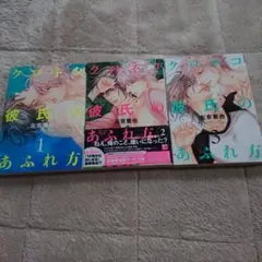 彼氏のあふれ方 1-3巻セット