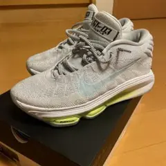 Nike GTハッスル3 ２６.５
