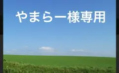 人気 PORTER 吉田カバン タンカー リュック デイパック 軽量 ナイロン