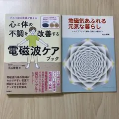 【新品未使用】丸山修寛 著 電磁波ケア・地磁気ケア 本 2冊セット