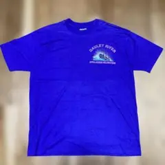 ゴーリーリバー　ビンテージTシャツ　パープル　Made in USA