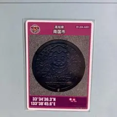 高知県南国市 マンホールカード 2025年