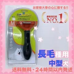 Item thumbnail for item 6ea2606f-8006-41a4-9acb-92f7686524d7