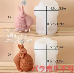匿名配送❁⃘*.゜シリコンモールド☆2種セット♪うさぎラビット型バラ売り不可