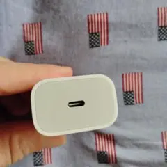 Apple アップル 純正USB-C 電源アダプタ 20W 充電器 iPhone