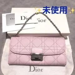 新品 Dior ディオール チェーンウォレット ハンドバッグ チェーンショルダー