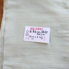 薄い緑色の綿生地 120cm x 200cm