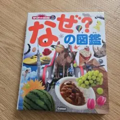 送料込　なぜ?の図鑑
