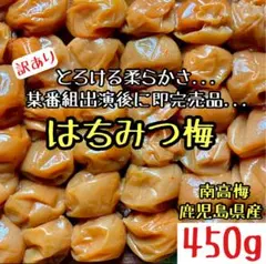 除草剤不使用◎農園栽培 製造 南高はちみつ梅干し 450g 肉厚ふっくら◎a