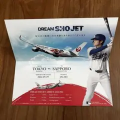 DREAM SHO JET 初便搭乗記念ノベルティ 非売品】JAL 日本航空 大谷翔平 DREAM SHO JET 搭乗記念 - メルカリ