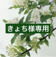 専用