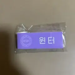 SMTOWN 2025 POPUP ネームバッジ　aespa ウィンター