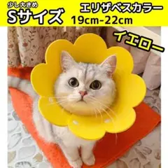 Item thumbnail for item 17d4f995-e8b6-41ce-9614-c62796b2a172