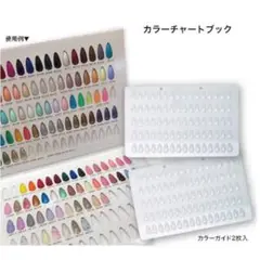 ネイル カラーチャート 色サンプル