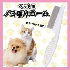 Item thumbnail for item 6c6e40c3-3e7e-47a3-b1b4-338d16966b5c