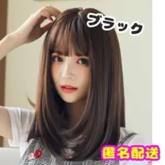 セミロングウィッグ レディース 小顔 断熱 ブラック ネット付き
