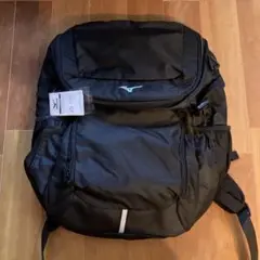 Item thumbnail for item 8628e9e6-4cd5-4b03-8a74-c56fd9bd4d47