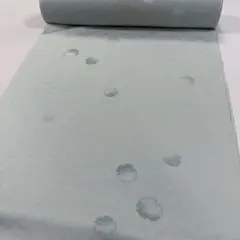 Item thumbnail for item 61b04aa4-9d61-434c-9f4d-bb180662ebce