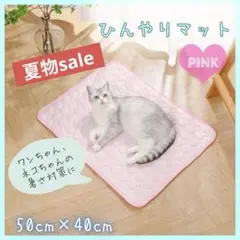 Item thumbnail for item f84ae7bc-a3a2-49d8-a65f-303ca46f2515