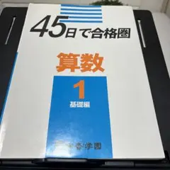 ✅45日で合格圏 算数 1 45日で合格圈算数1 基礎編