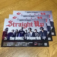 the bonez ポスター The BONEZ シルクスクリーンポスター新品 通販