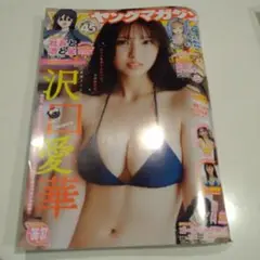 ヤングマガジン　2025年36•37合併号