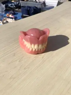 歯科モデル