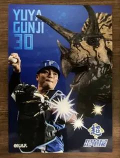 ファイターズ　郡司裕也　超恐竜展　トレカ