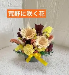 荒野に咲く花　ドライフラワー アレンジメント