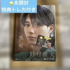 Item thumbnail for item b8b73804-b708-4236-bb76-6792dbd6ac49