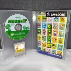 Item thumbnail for item 66cbc074-2a49-4abb-8108-c296593c0d8f
