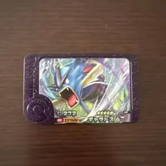 ポケモンフレンダ ギャラドス ベストタッグ レア枠
