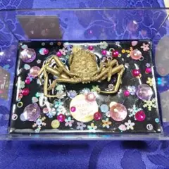 稀少レア平家蟹科凹凸立体リアル鬼面蟹横幅２２X１６X３、５センチ標本コレクション m34970344821_1.jpg?1714193607