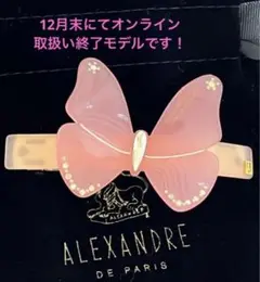 完売品☆アレクサンドルドゥパリ パピヨンモチーフバレッタ