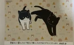 黒猫とろんと暮らしたら 7巻　特典
